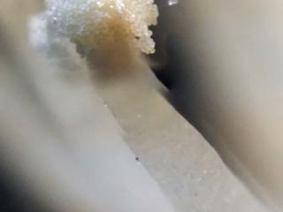 Img.VTax3646.Ex2.Img3