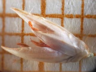 Img.VTax3684.Ex3.Img6