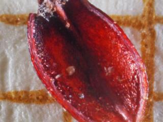 Img.VTax3684.Ex3.Img8