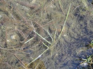 Img.VTax3715.Ex1.Img2