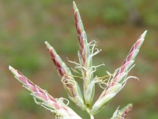 Img.VTax3731.Ex2.Img3