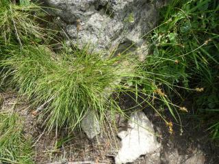 Img.VTax3749.Ex1.Img3