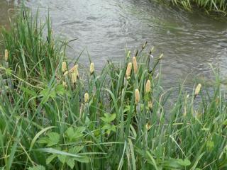 Img.VTax3774.Ex1.Img1