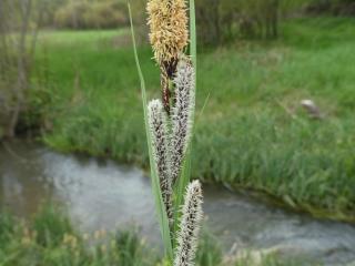 Img.VTax3774.Ex1.Img5