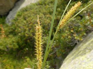 Img.VTax3775.Ex1.Img1
