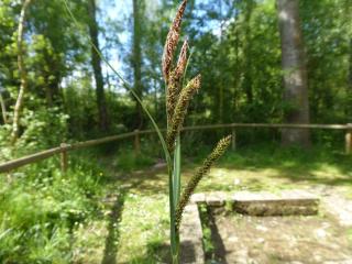 Img.VTax3776.Ex1.Img1