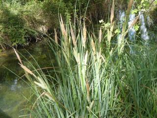 Img.VTax3776.Ex1.Img9