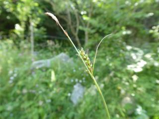 Img.VTax3806.Ex1.Img1