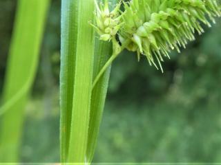 Img.VTax3808.Ex1.Img3
