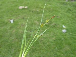 Img.VTax3813.Ex1.Img3