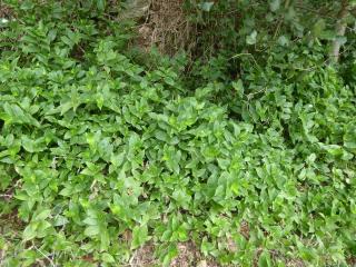 Img.VTax3820.Ex3.Img2