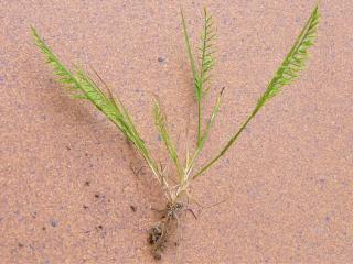 Img.VTax3889.Ex1.Img1