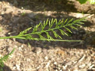 Img.VTax3889.Ex1.Img3