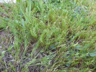 Img.VTax3889.Ex1.Img4