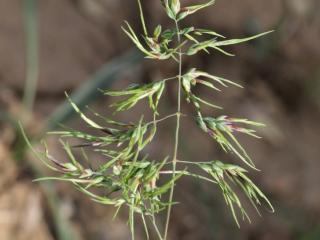 Img.VTax3896.Ex2.Img1