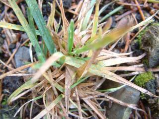 Img.VTax3912.Ex1.Img1