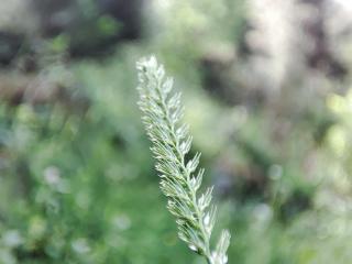 Img.VTax3926.Ex1.Img1