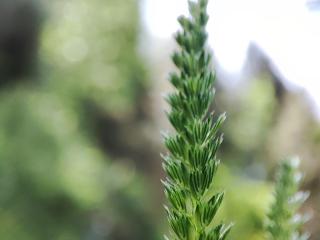 Img.VTax3926.Ex1.Img3