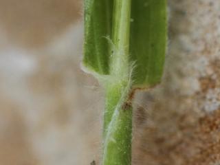 Img.VTax4038.Ex1.Img1