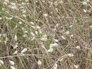 Img.VTax4038.Ex3.Img1