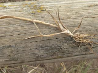 Img.VTax4038.Ex3.Img2
