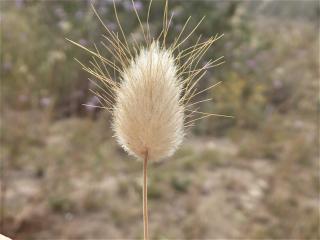 Img.VTax4038.Ex3.Img3