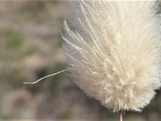 Img.VTax4038.Ex3.Img4