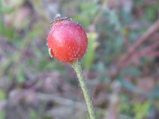 Img.VTax404.Ex1.Img1