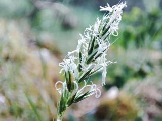 Img.VTax4054.Ex1.Img1