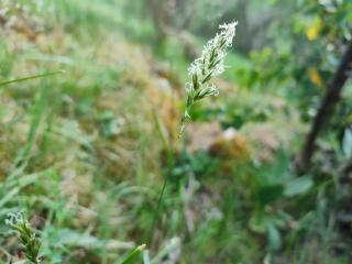 Img.VTax4054.Ex1.Img2