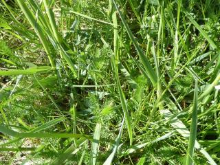 Img.VTax4100.Ex1.Img2