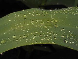 Img.VTax4137.Ex1.Img1
