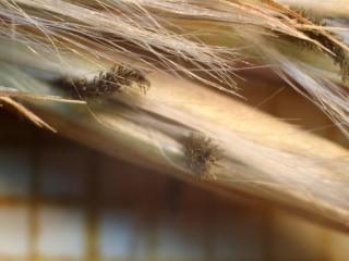 Img.VTax4137.Ex1.Img5