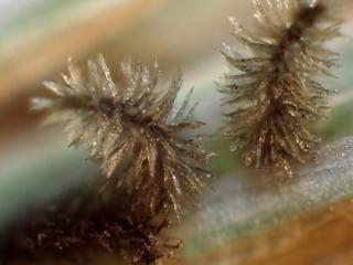 Img.VTax4137.Ex1.Img7