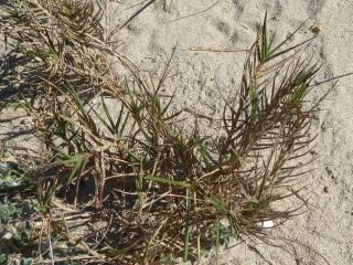Img.VTax4157.Ex1.Img1