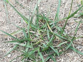 Img.VTax4158.Ex1.Img1