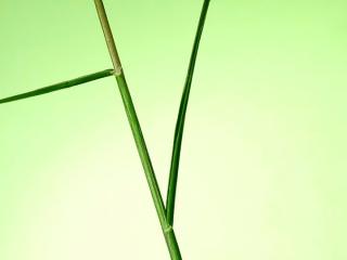 Img.VTax4165.Ex1.Img2