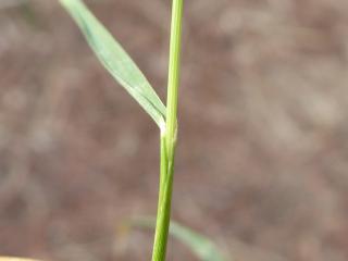 Img.VTax4165.Ex2.Img3