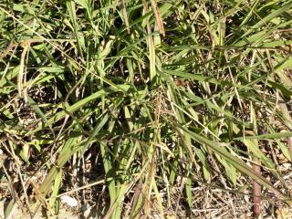 Img.VTax4182.Ex1.Img6