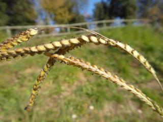 Img.VTax4182.Ex1.Img7
