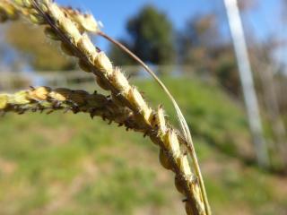 Img.VTax4182.Ex1.Img8