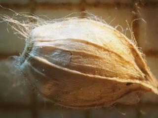 Img.VTax4182.Ex3.Img5