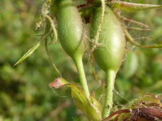 Img.VTax419.Ex1.Img9