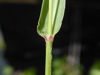 Img.VTax4193.Ex2.Img5