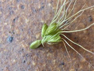 Img.VTax4193.Ex3.Img3