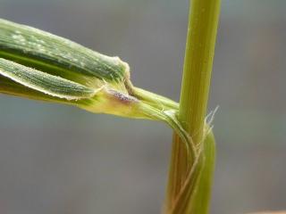 Img.VTax4193.Ex3.Img4