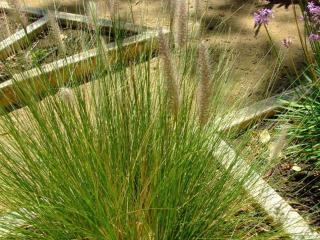 Img.VTax4195.Ex1.Img1