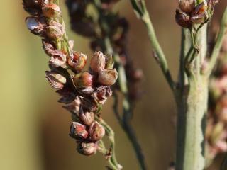 Img.VTax4202.Ex1.Img1