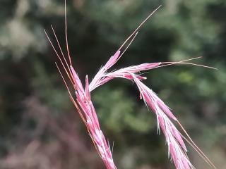 Img.VTax4203.Ex1.Img1