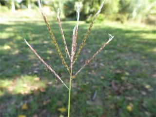 Img.VTax4203.Ex2.Img3